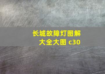 长城故障灯图解大全大图 c30